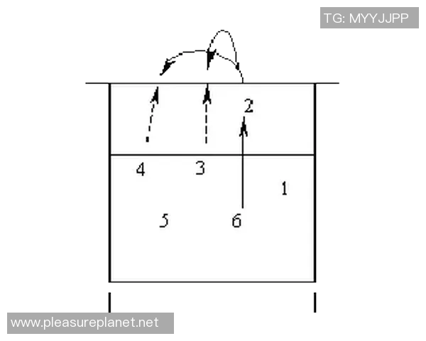 上海排球队中路突破战术解析与实战应用探讨 上海排球队中路突破战术解析与实战应用探讨