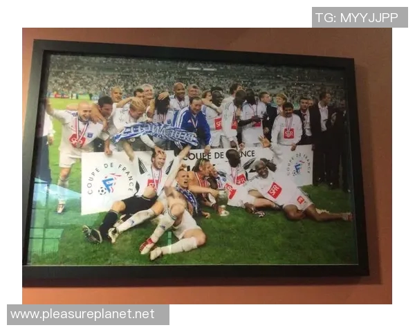 延庆足球明星阵容全景展示及精彩瞬间回顾