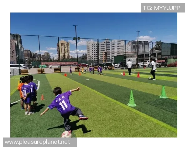 杨芳独家解析足球技巧与战术心得分享让你更懂比赛的魅力与乐趣