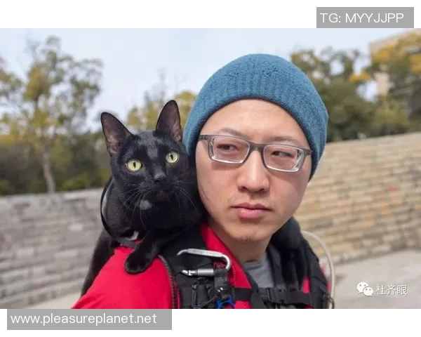 黑猫足球明星的传奇故事与辉煌成就揭秘