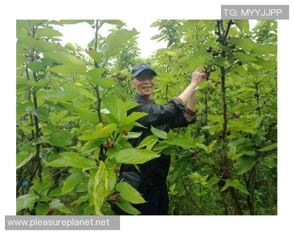 深度对话：王芳的和平精英人生