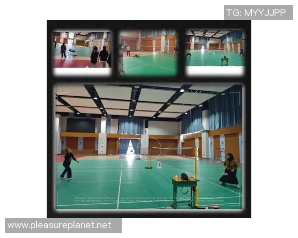 羽毛球专题：聚焦南京羽毛球队的个人能力