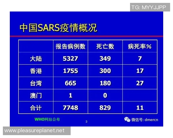 数据分析：武汉飞盘队的力量表现