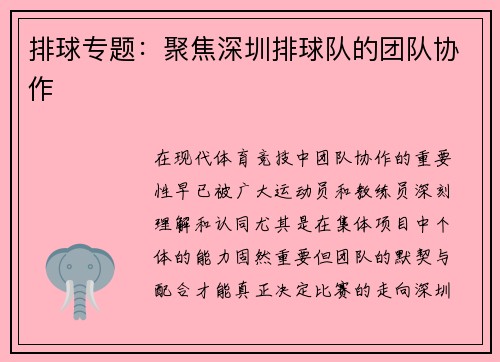 排球专题：聚焦深圳排球队的团队协作