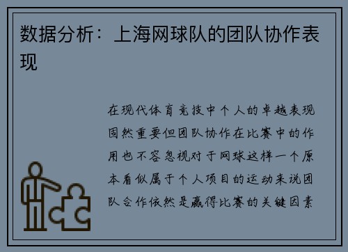 数据分析：上海网球队的团队协作表现